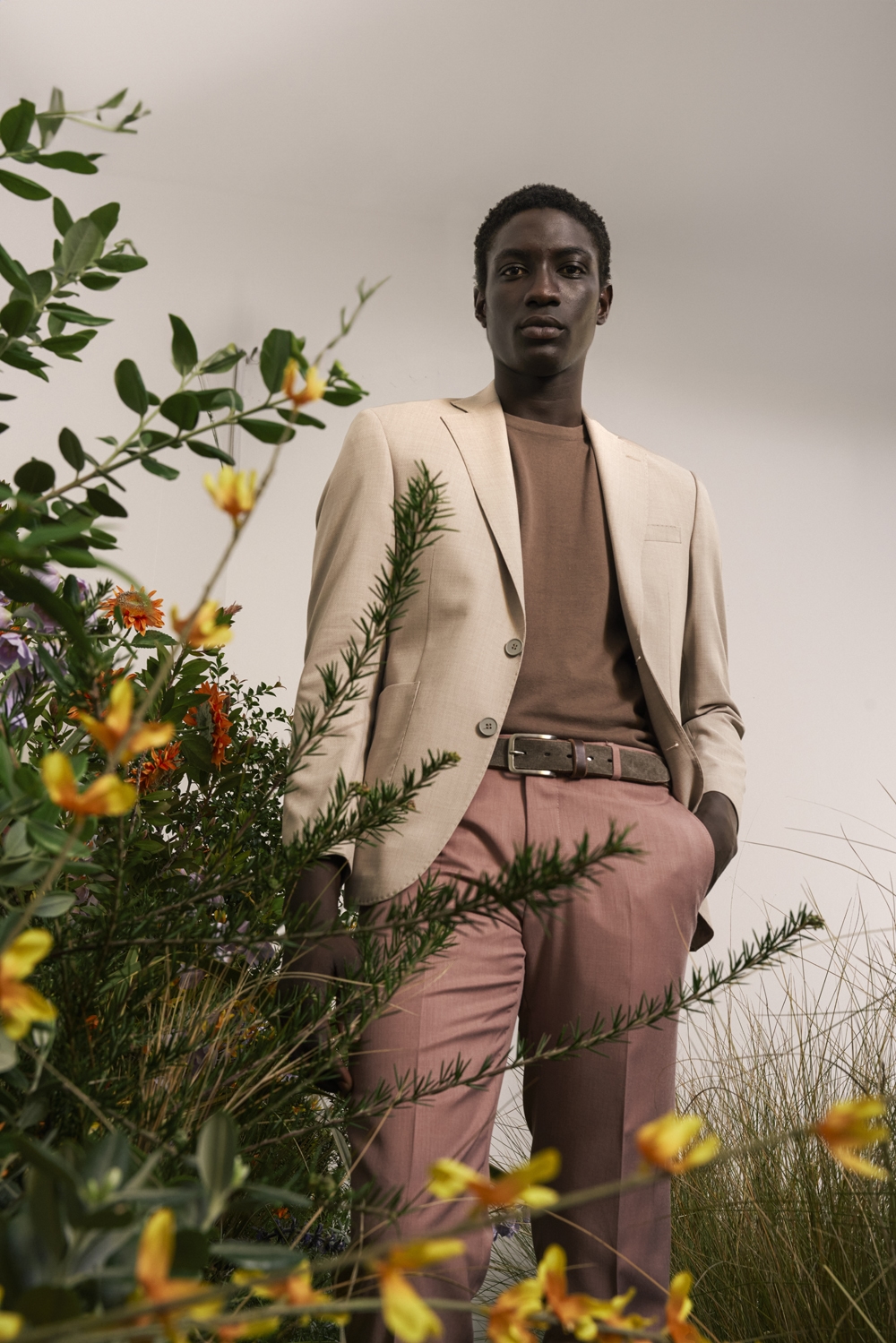 Barbuti ss251282