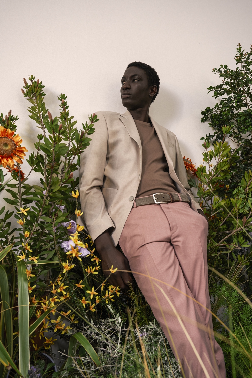 Barbuti ss251310