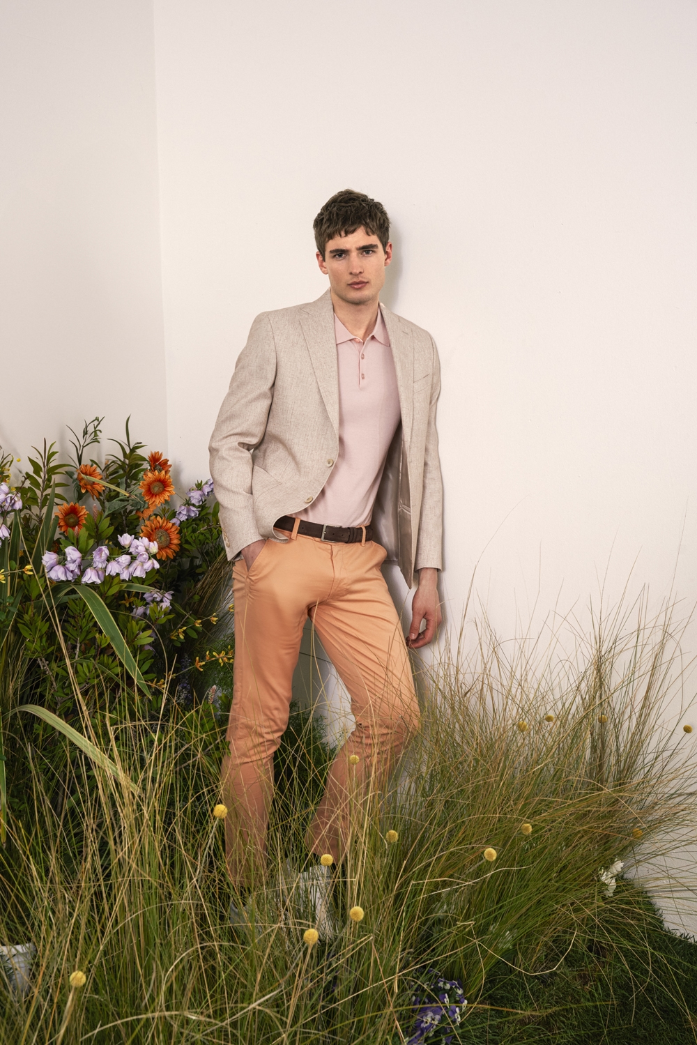 Barbuti ss251352